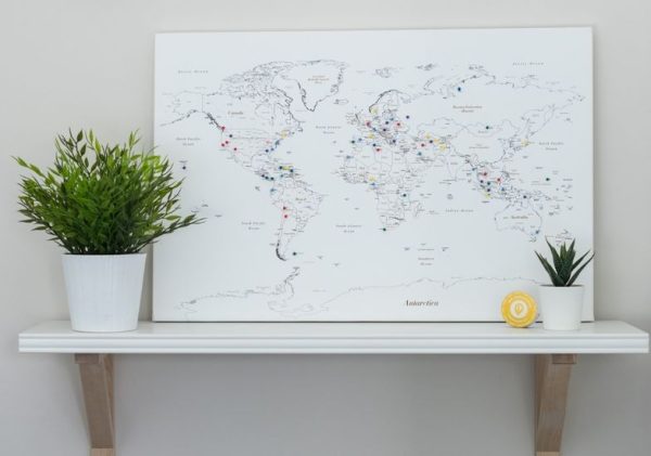 detailed pinnable world map white 1mp
