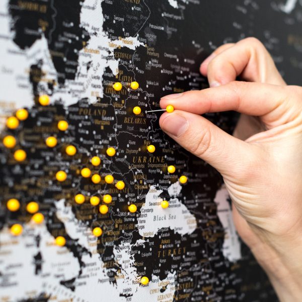 detailed world map with pins black and white 22p