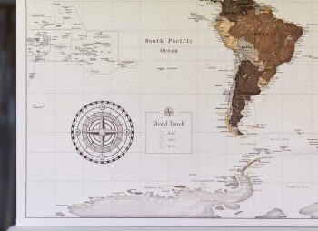 personalized-safari-world-map-with-pins