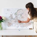 pinnable europe map canvas with pins 8eu