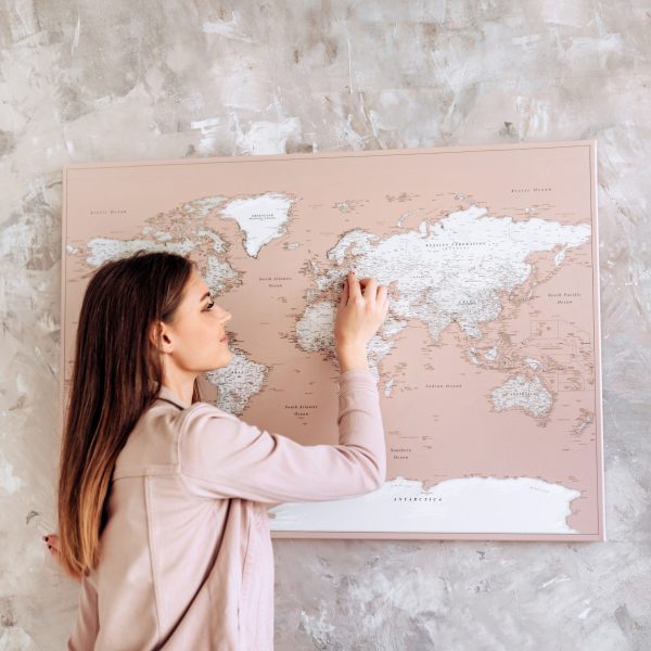 travel gift for daughter push pin world map dusty pink 32p