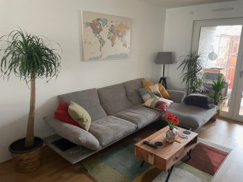 colorful-push-pin-world-map-customer-photo-living-room-decor