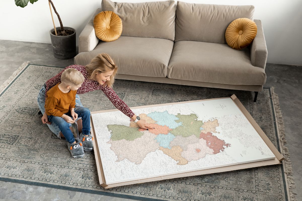 germany map wall art with pins
