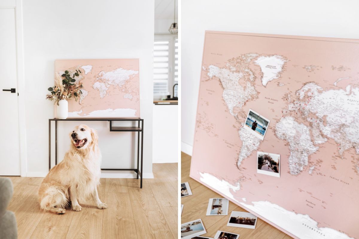 world map to mark places i have been pink color