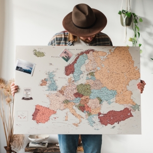 map with pins for travel online