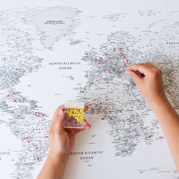 world map pin board on canvas 35p