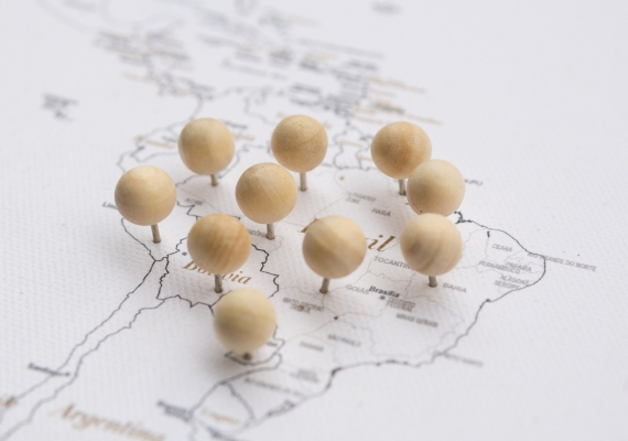 round head wooden push pins for map