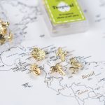corkboard map tacks gold tropical vibes