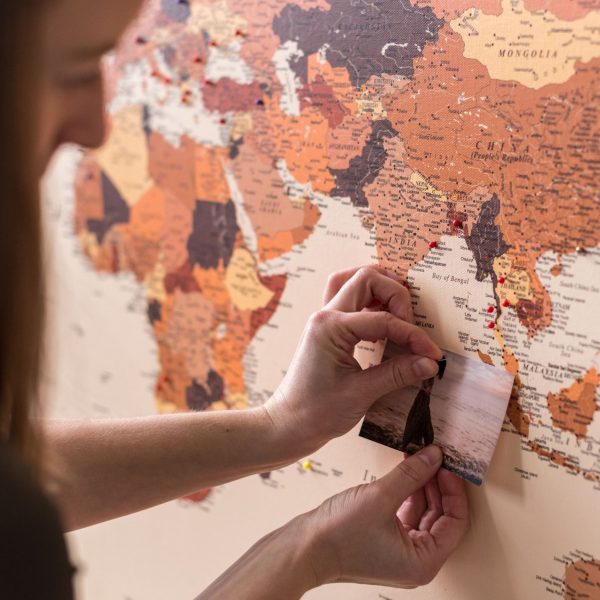 pinnable canvas world map to track travels