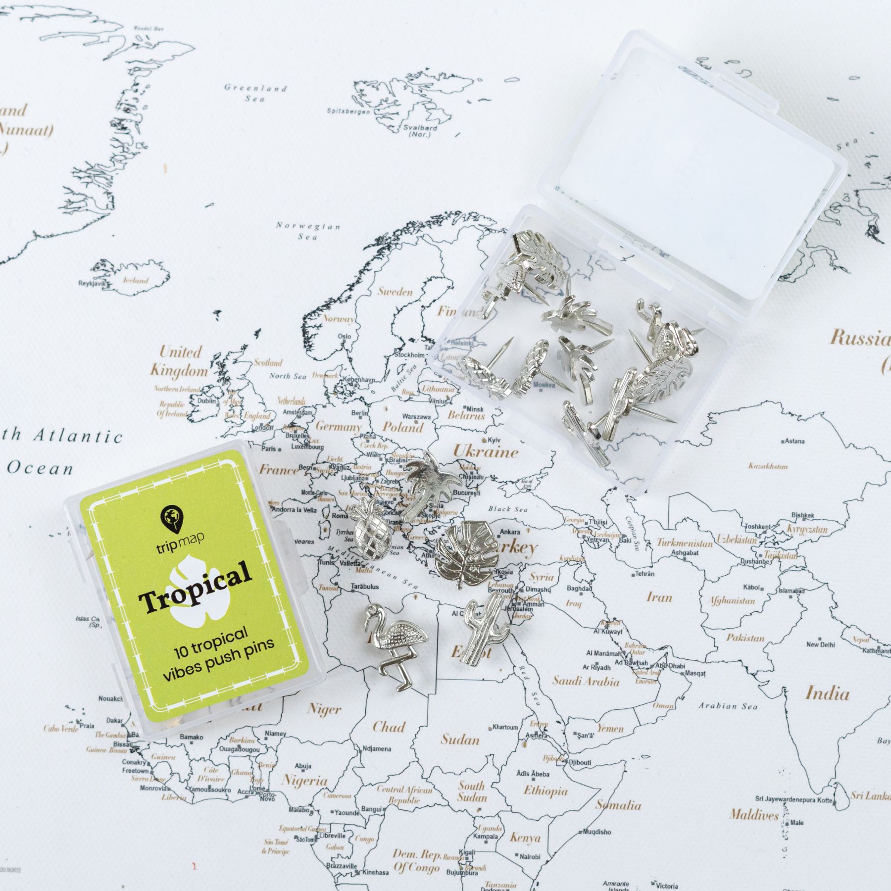 silver tropical vibes Map Push Pins - Tacks with Stainless Point - Marking Pins